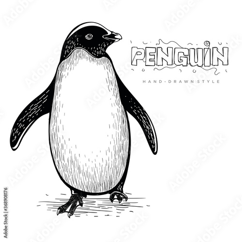 vector cute penguin, hand drawn animal illustration