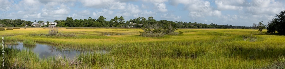 Looking across the marsh from Ocean Blvd, St Simons Island, GA Looking across the marsh from Ocean Blvd, St Simons Island, GA