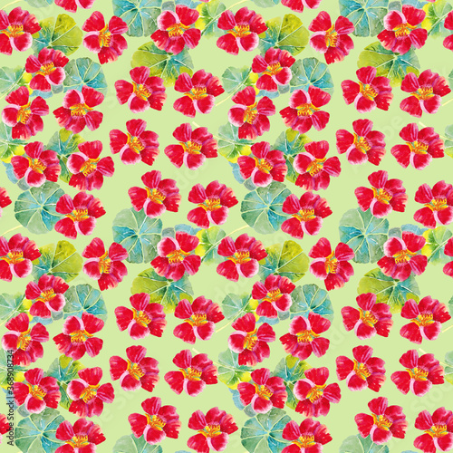 Seamless pattern with nasturtium. Design done in watercolor. The design is suitable for postcards, covers, wrapping paper, fabric, wallpaper on the wall.