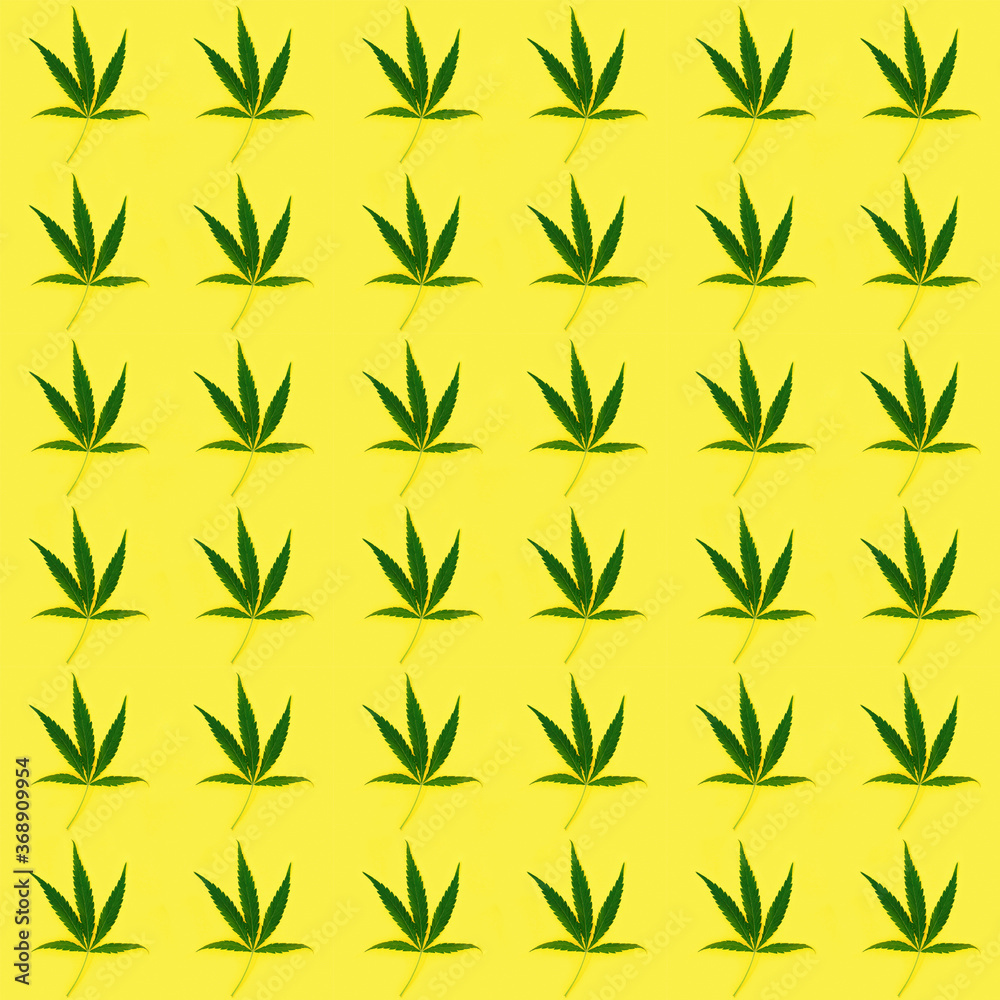 Seamless regular creative pattern with natural green leaves from Cannabis plant. Seamless regular creative pattern with natural green leaves from Cannabis plant.