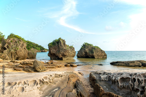沖縄県　西表島の忘勿石の海岸 © norinori303