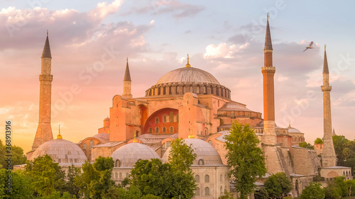 seagulls fly around hagia sophia mosque at sunset in istanbul