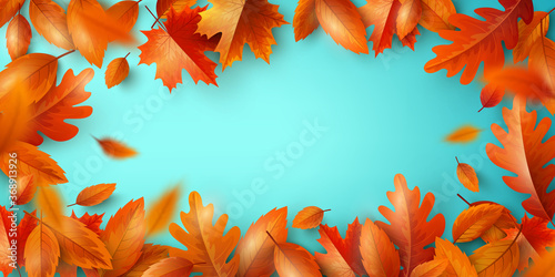 Autumn Background,Poster and banner template with colorful maple and oak autumn leaves.Greetings and presents for Autumn and fall season concept.Vector illustration background. and shopping template.