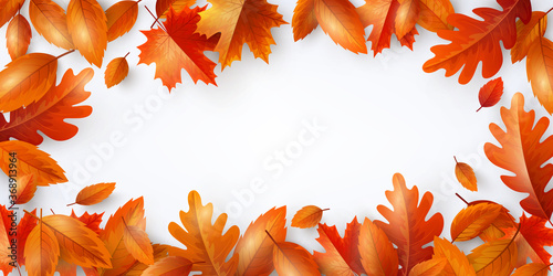 Autumn Background,Poster and banner template with colorful maple and oak autumn leaves.Greetings and presents for Autumn and fall season concept.Vector illustration background. and shopping template.