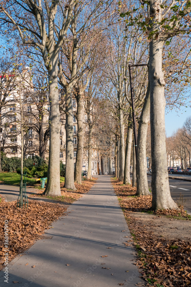 Paris path in autumn park