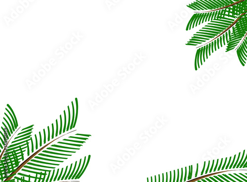 modern palm leaf background design
