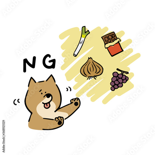 犬が食べてはいけないNG食材