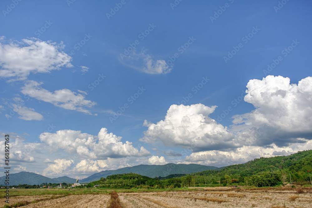 Obraz premium The white clouds have a strange shape and country side.Cloudy and blue sky