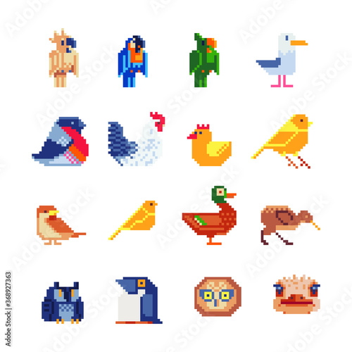 Birds icons set. Popular collection of bird species. Pixel art style from 80s. Design template for pet shop, stickers, embroidery, applique, logo, book illustration. Stickers design. Cartoon character