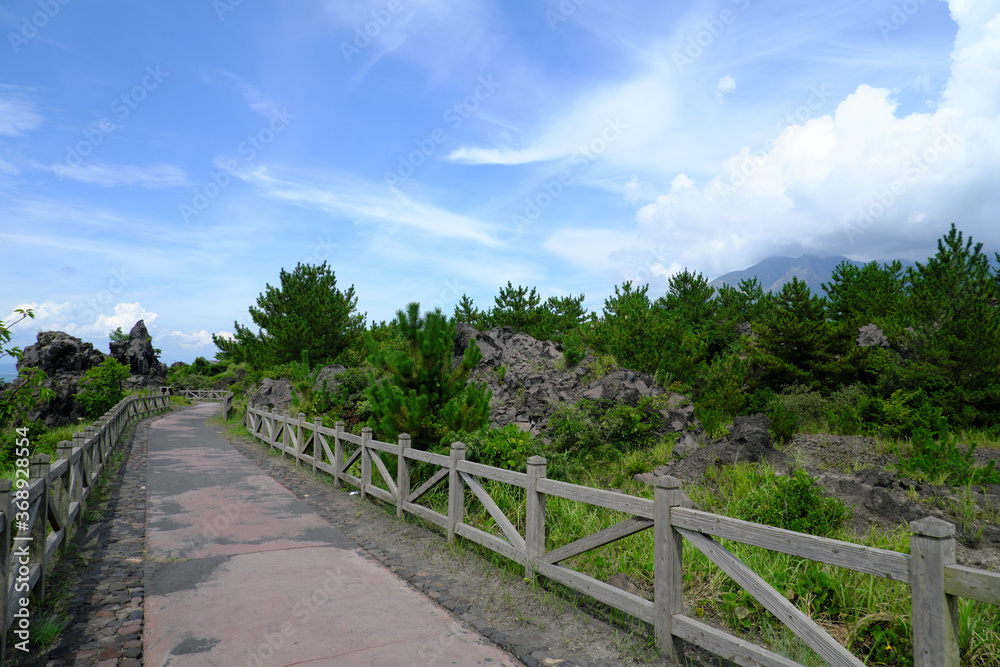 桜島の見えるのどかな溶岩なぎさ公園の遊歩道
