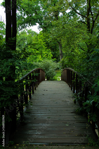 wooden bridge in the forest