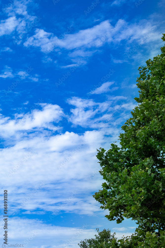 Obraz premium sky and clouds