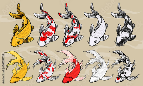 Koi Fish