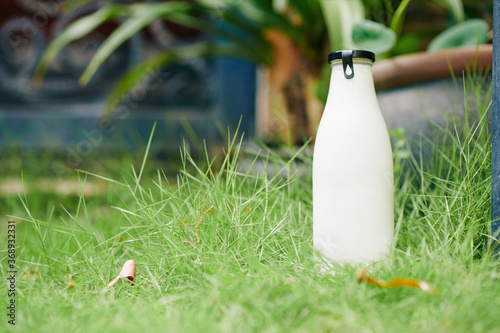 Delivered full glass bottle of fresh milk or yogurt on green lawn in front of house of customer photo