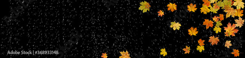 autumn  leaf  on black background