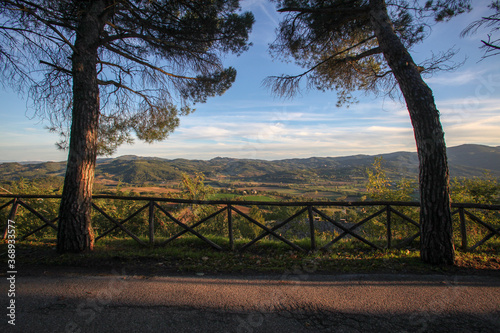 20-10-2015 Citerna - Perugia (Italy).A sunset under some pine trees from the village of Citerna towards the valley. photo