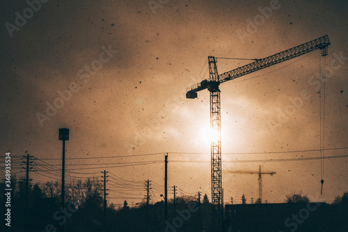 cranes at sunset