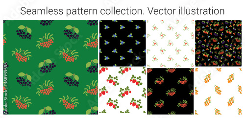 Fruit and berry seamless pattern set. Chokeberry, red mountain ash, lingonberry, blueberry, strawberry and sea buckthorn