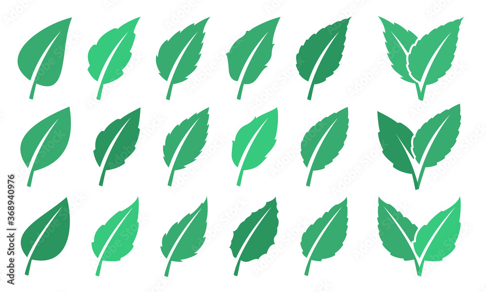 Green leaf set. Eco design Green leaf set. Eco design