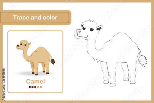 Drawing worksheet Trace and colour : Camel