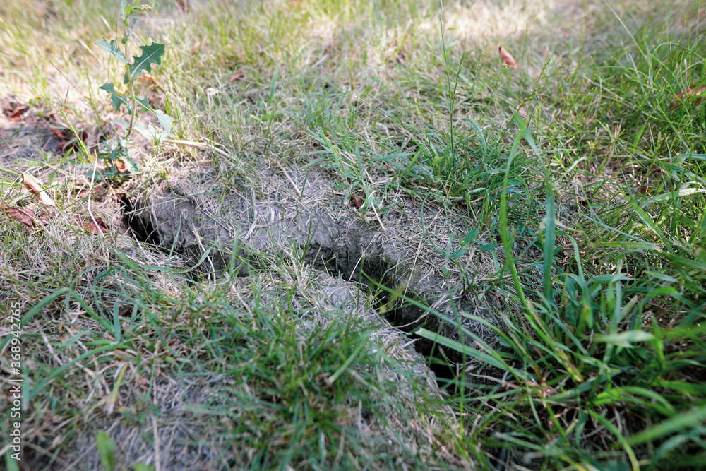 Crack in earth due to prolonged drought in the yard of a Romanian farmer. Crack in earth due to prolonged drought in the yard of a Romanian farmer.