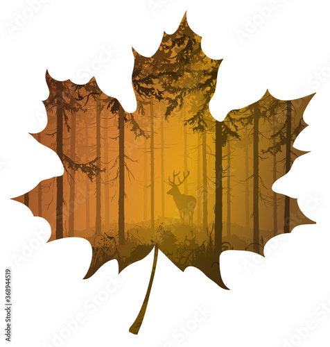 Autumn leaf of a sycamore. Inside there is a foggy pine forest with a deer and a bird. Vector illustration, isolated object