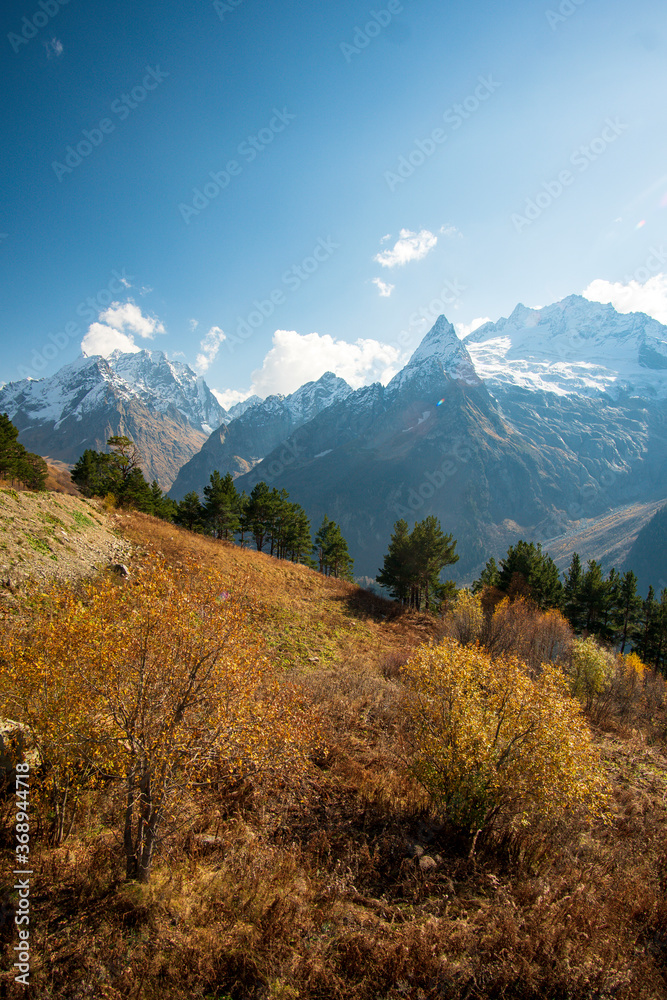 Obraz premium The mountains of Dombai. The tops of the mountains are covered with snow, the bright autumn sun shines, in the foreground conifers and dry grass.