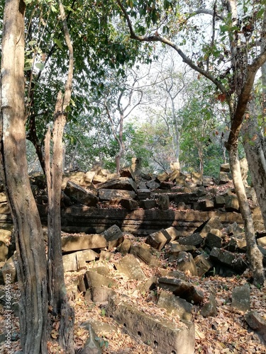 Beng Mealea was built as a Hindu temple. Its primary material is sandstone, with trees and thick brush thriving amidst its towers and courtyards and many of its stones lying in great heaps. 