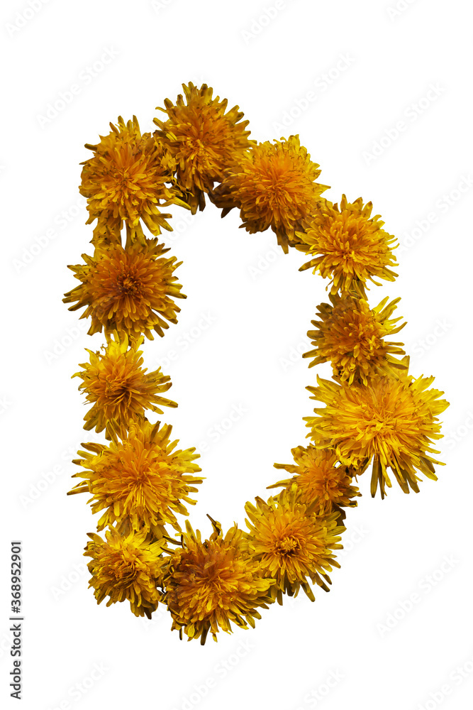 Uppercase letter D. From yellow spring flowers. On white background