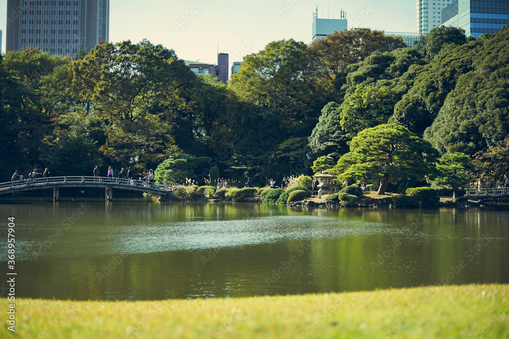 Maple leaves changing color, Autumn seasons at Tokyo in Japan Maple leaves changing color, Autumn seasons at Tokyo in Japan