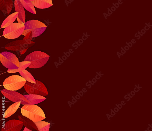 Autumn leaves background. Fall banner template. Red and orange foliage. Thanksgiving season holiday concept. Realistic 3d vector illustration.