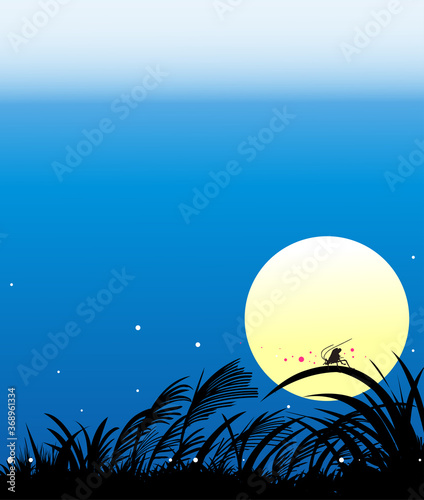 十五夜の月とすすきの秋の風景