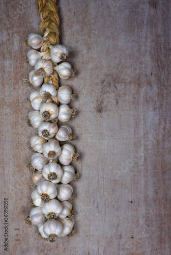 Fresh Harvesting garlic from out of the garden. braided garlic or Garlic string. Harvested vegetables, organic. Decorative food at wooden background.