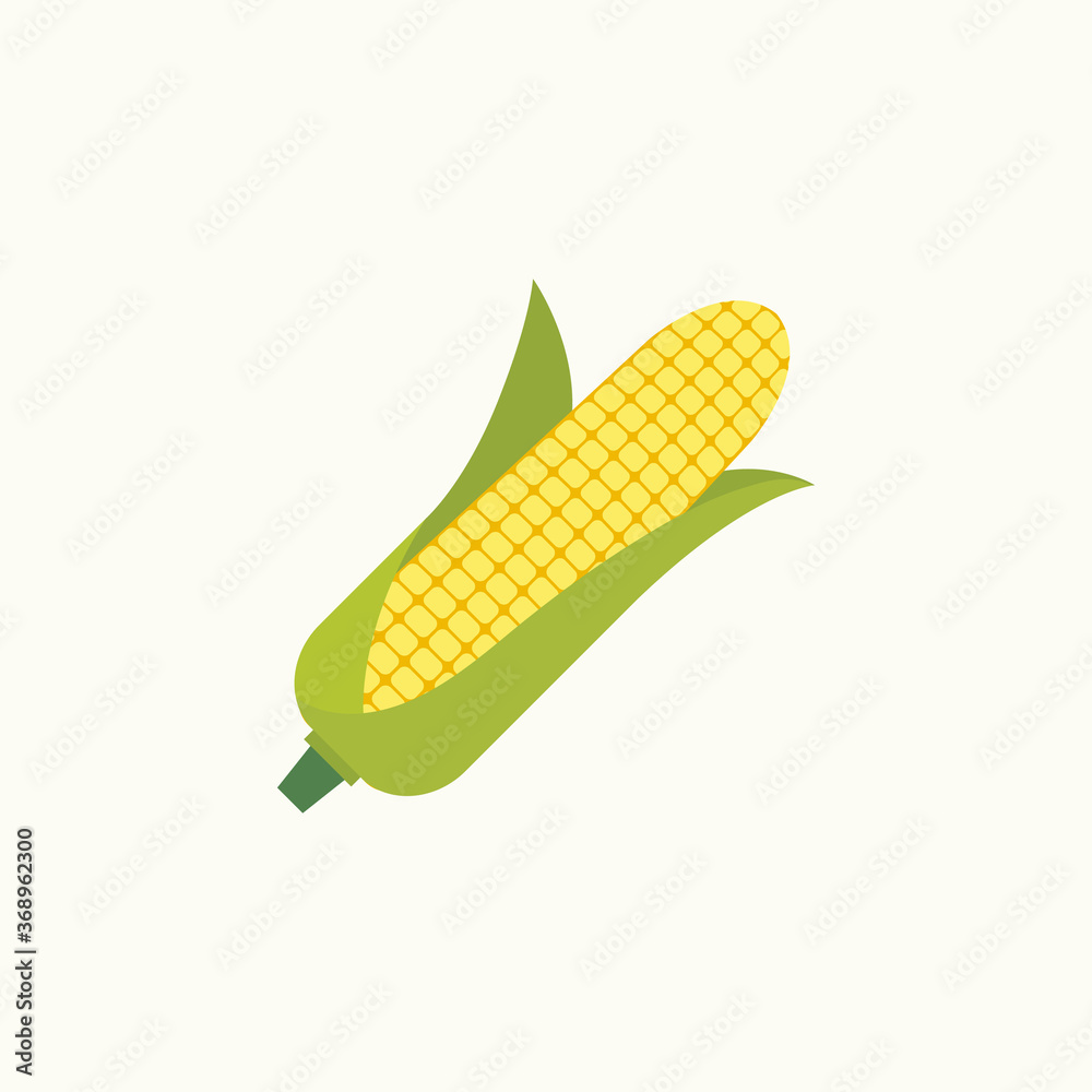 Corn cob in a green husk isolated on white background Corn cob in a green husk isolated on white background
