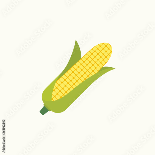 Corn cob in a green husk isolated on white background