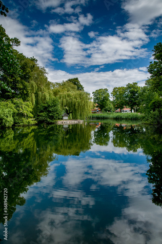 Reflection of the sky and trees in the water of the pond on a summer day