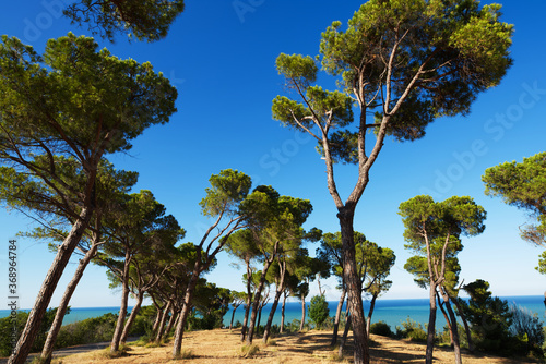 Relax in una calma località turistica del centro Italia