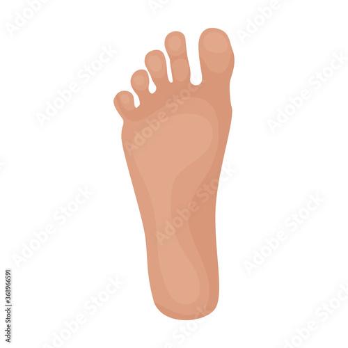 Footprint vector icon.Cartoon vector icon isolated on white background footprint.