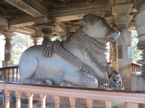 halebid temple photo