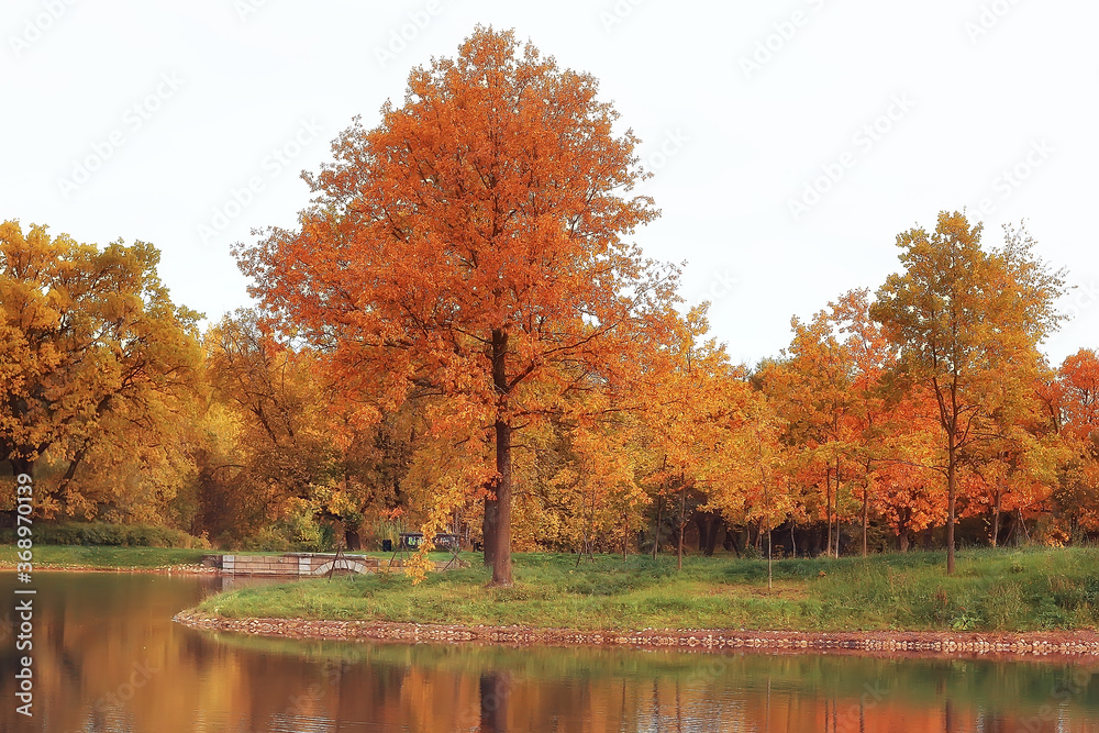 autumn landscape / yellow trees in autumn park, bright orange forest
