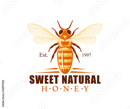 Bee, top view isolated on white background