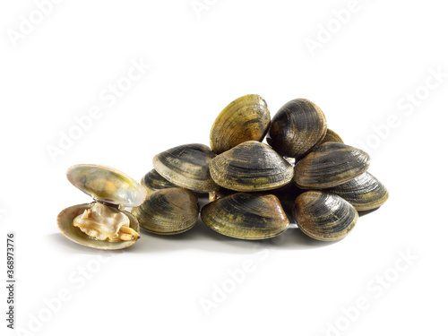 Clams isolated on white background © Santiago
