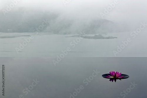 Scenery of a lotus blooming on an infinity pool and foggy mountains in background, reflected on the lake water under moody cloudy sky in Sun Moon Lake, a famous tourist destination in Nantou, Taiwan