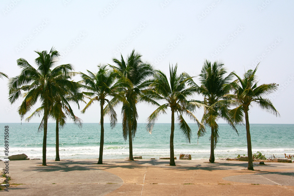 Palm and coconut trees on the beach at Rayong Thailand