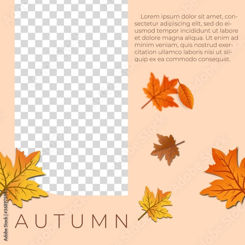 Modern social media background autumn leaf theme with a place for photos. Background vector design