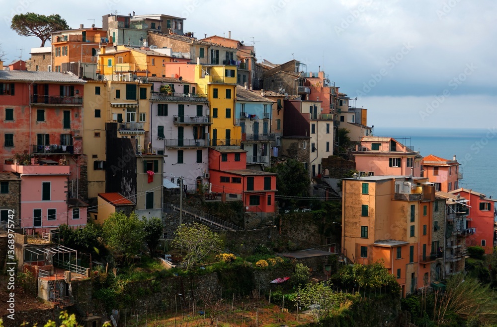 Beautiful scenery of Corniglia, an amazing village of colorful houses perched on a rocky cliff on a sunny summer day in Cinque Terre, North Italy, Europe