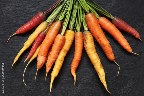 Photography of a bunch of colorful carrots on slate background for food illustrations
