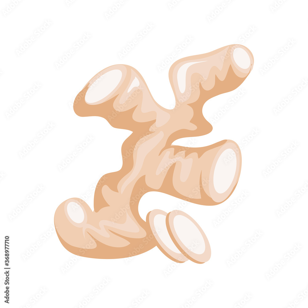 ginger roots on white background ginger roots on white background
