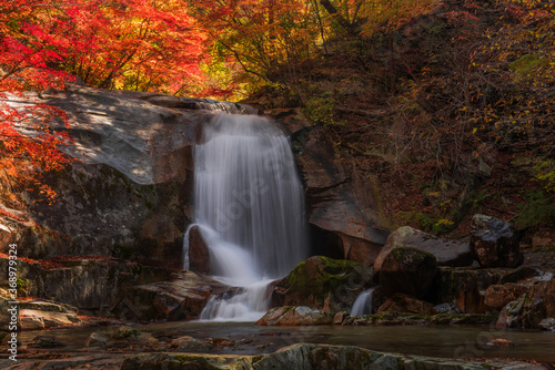 Beautiful autumn waterfall red and yellow colorful tree leaves with stream of mountain.  C