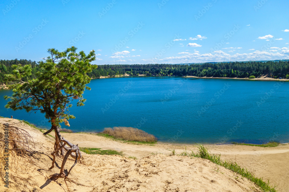 Small pine tree is growing near edge of sand cliff. Background contains almost round & dark blue lake with forest on its coasline..Shot at Izumrudnoye (Esmerald) Lake, Kazan, Russia